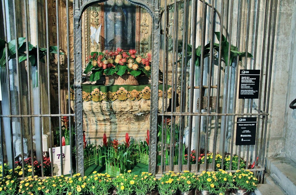 Foto: Girona tiempo de flores - Girona (Cataluña), España