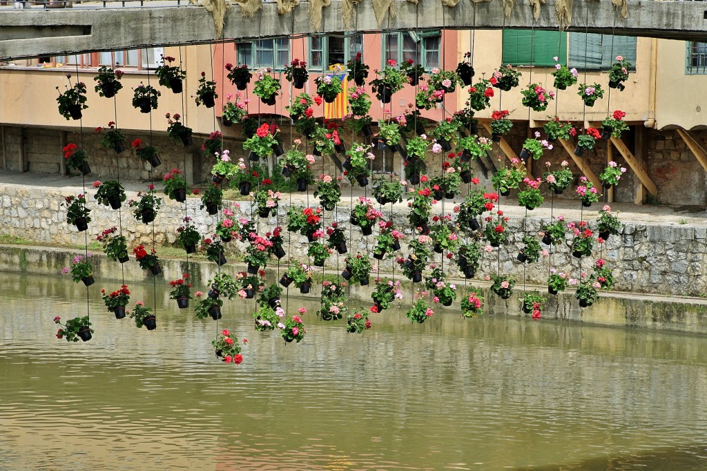 Foto: Girona tiempo de flores - Girona (Cataluña), España