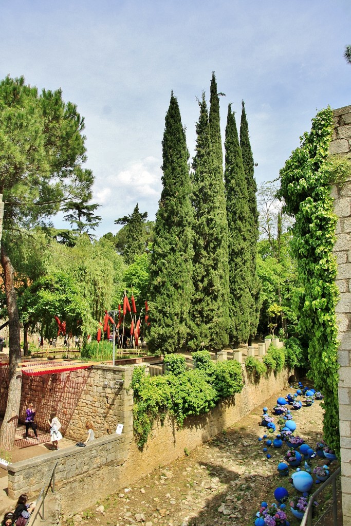 Foto: Girona tiempo de flores - Girona (Cataluña), España