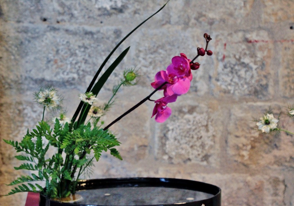 Foto: Girona tiempo de flores - Girona (Cataluña), España