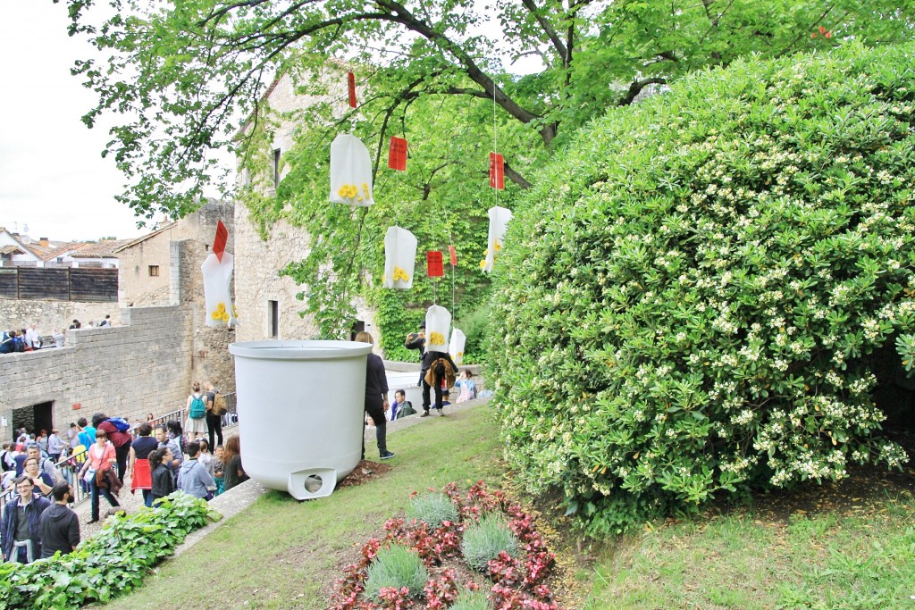 Foto: Girona tiempo de flores - Girona (Cataluña), España