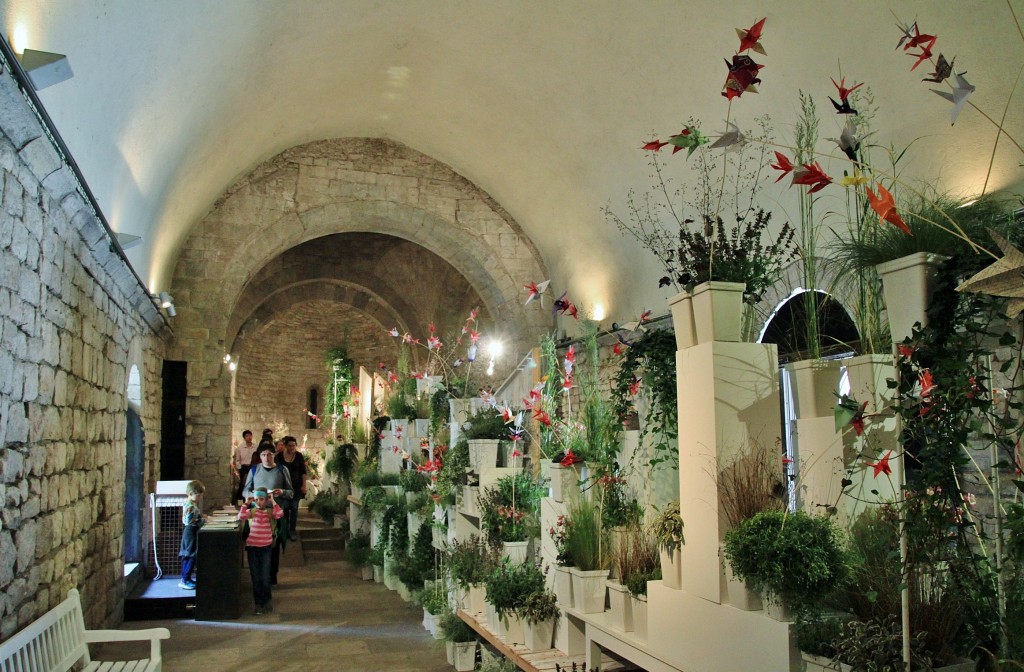 Foto: Girona tiempo de flores - Girona (Cataluña), España