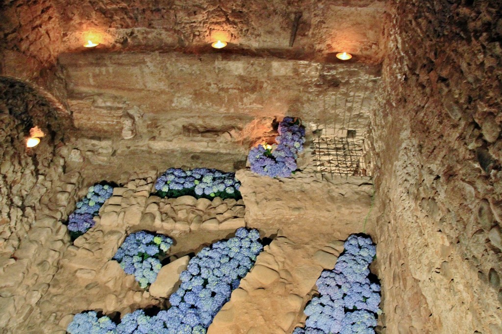 Foto: Girona tiempo de flores - Girona (Cataluña), España