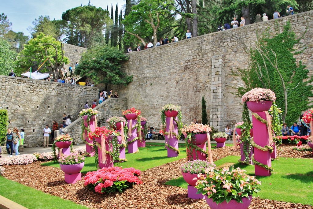 Foto: Girona tiempo de flores - Girona (Cataluña), España