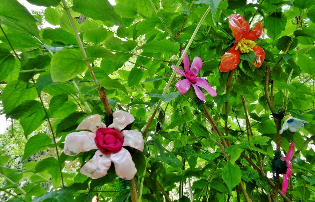 Foto: Girona tiempo de flores - Girona (Cataluña), España