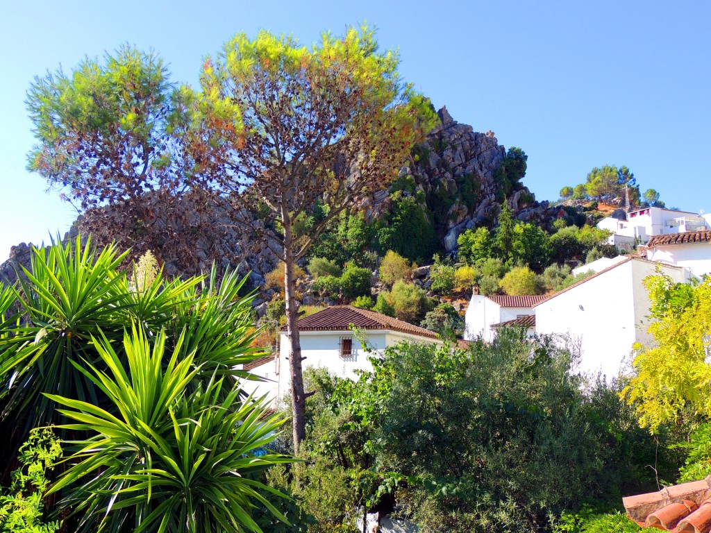 Foto de Montejaque (Málaga), España