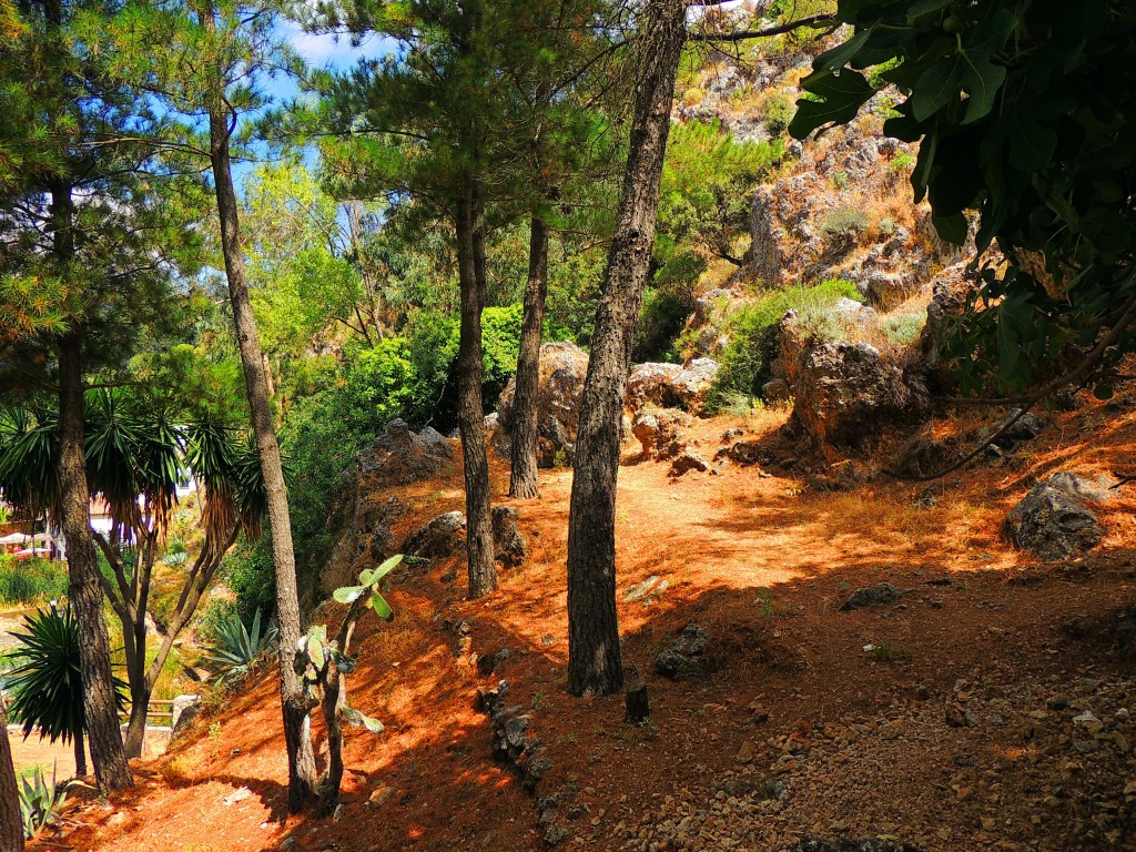 Foto de Igualeja (Málaga), España