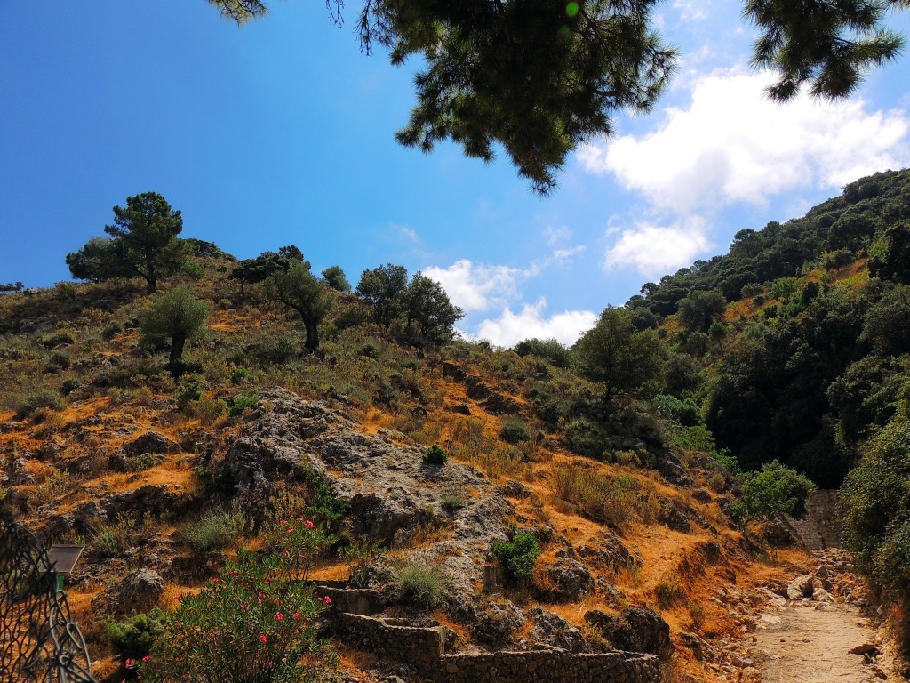 Foto de Igualeja (Málaga), España