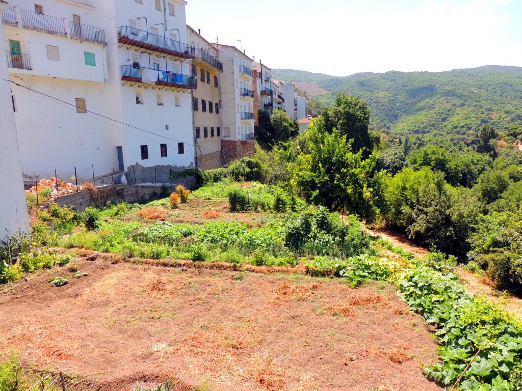 Foto de Igualeja (Málaga), España