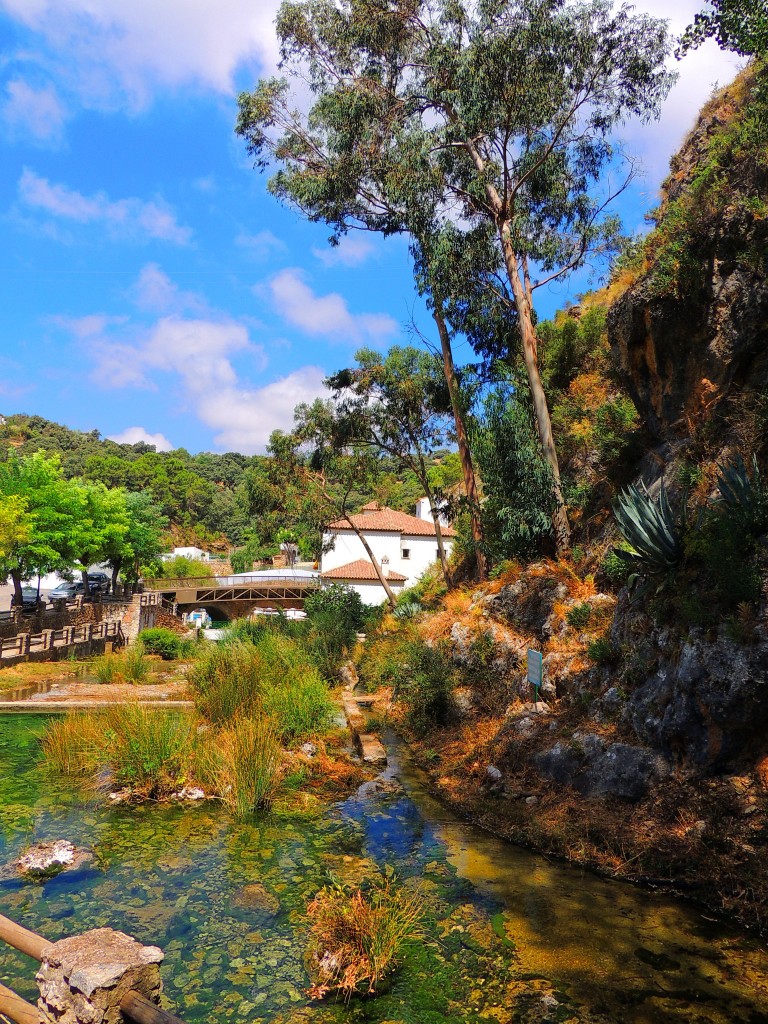 Foto de Igualeja (Málaga), España