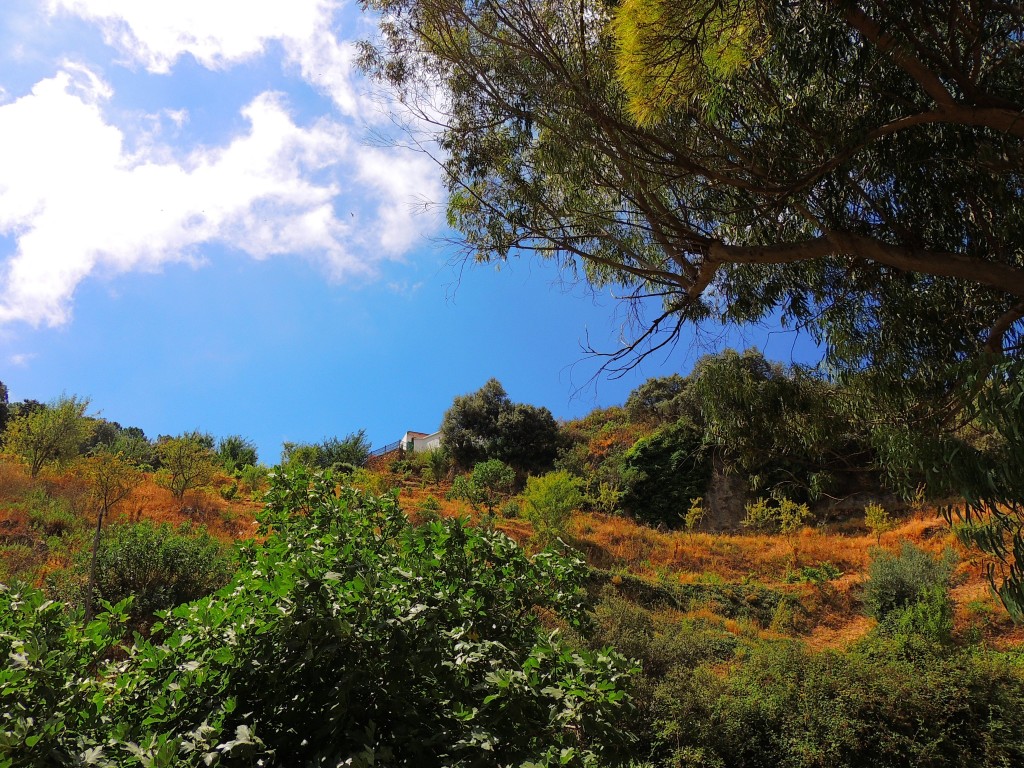 Foto de Igualeja (Málaga), España