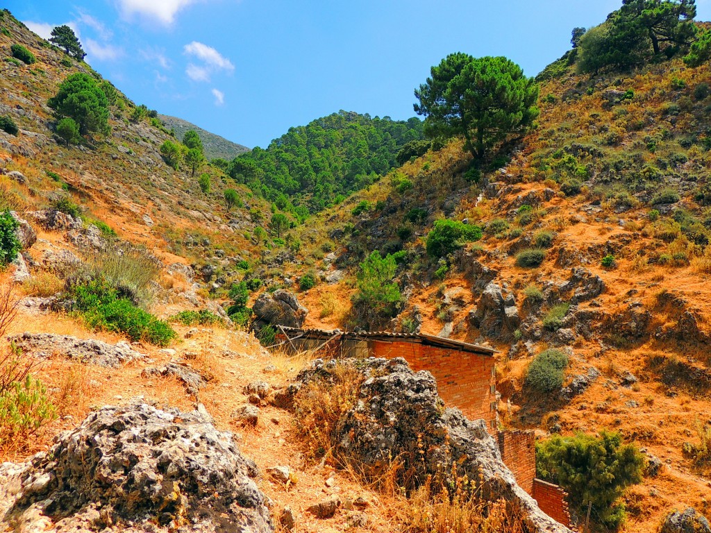 Foto de Igualeja (Málaga), España