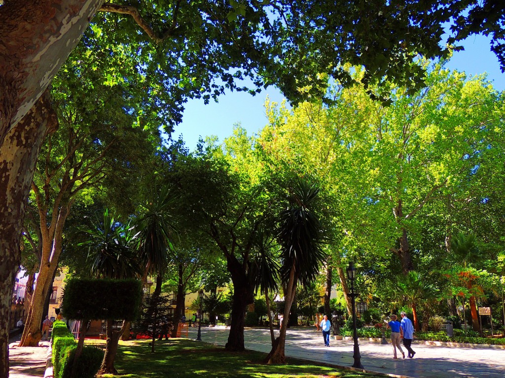 Foto de Ronda (Málaga), España