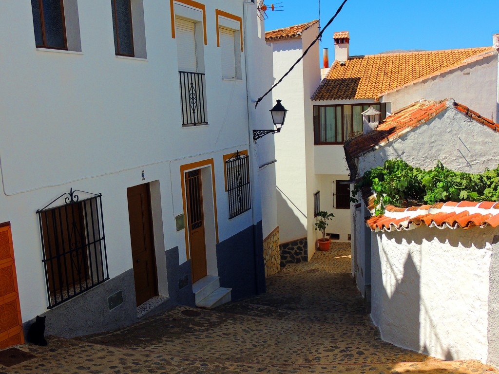 Foto de Pujerra (Málaga), España