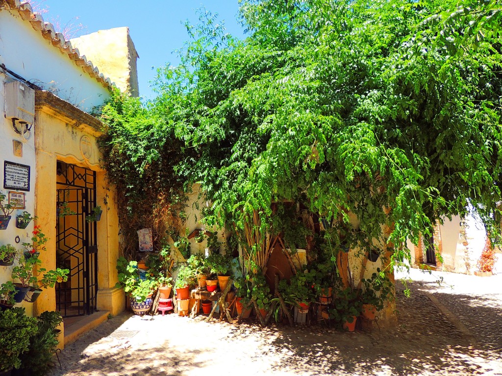 Foto de Ronda (Málaga), España