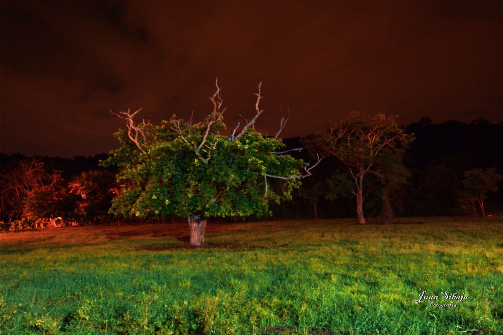 Foto de Alajuela, Costa Rica