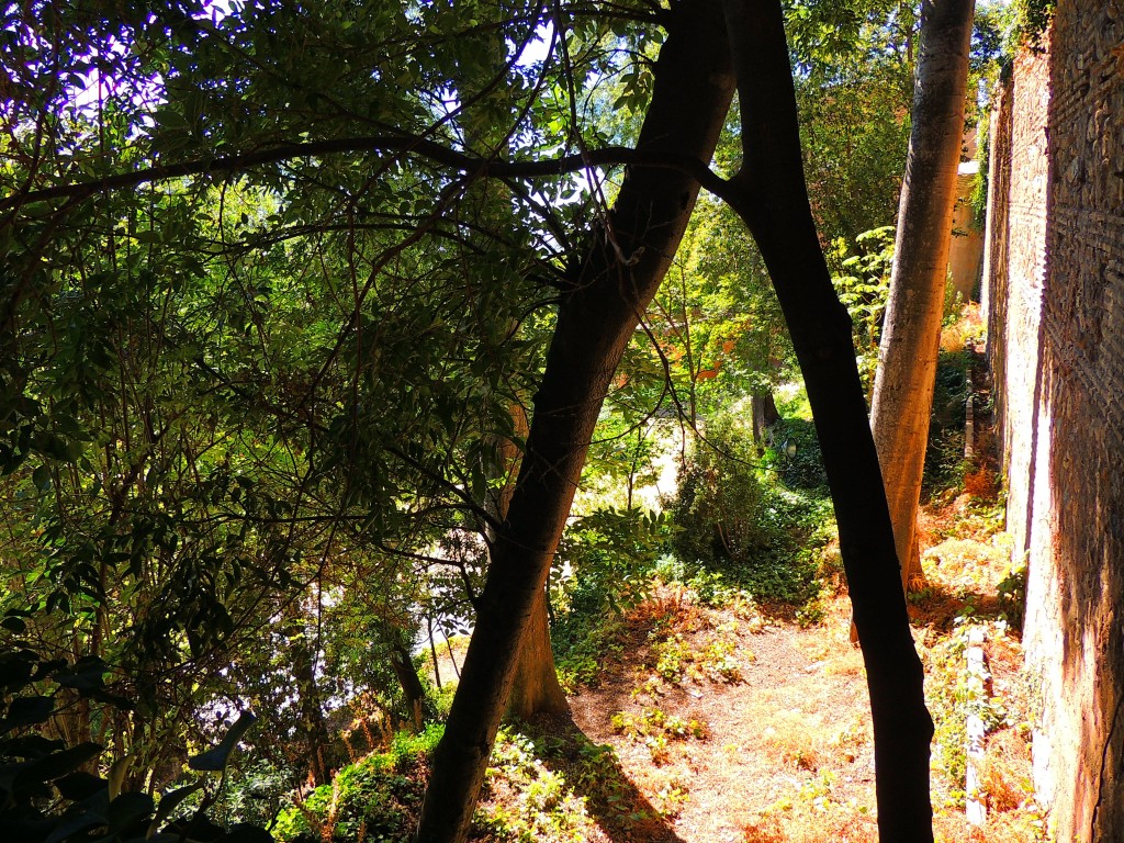 Foto de Granada (Andalucía), España