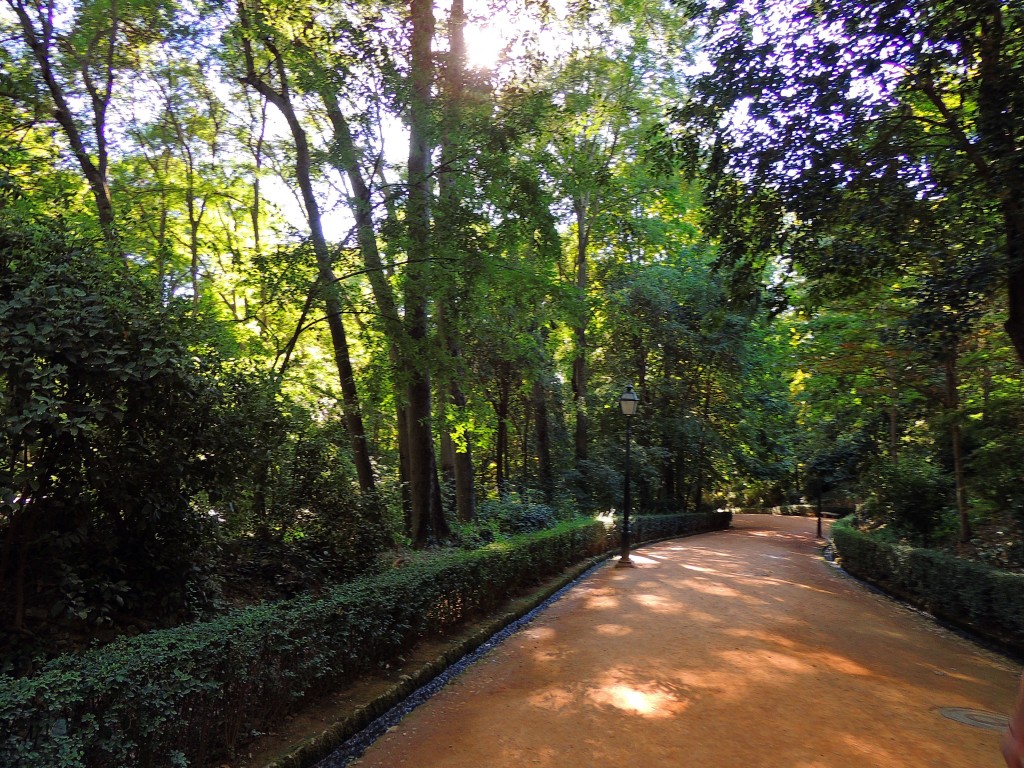 Foto de Granada (Andalucía), España