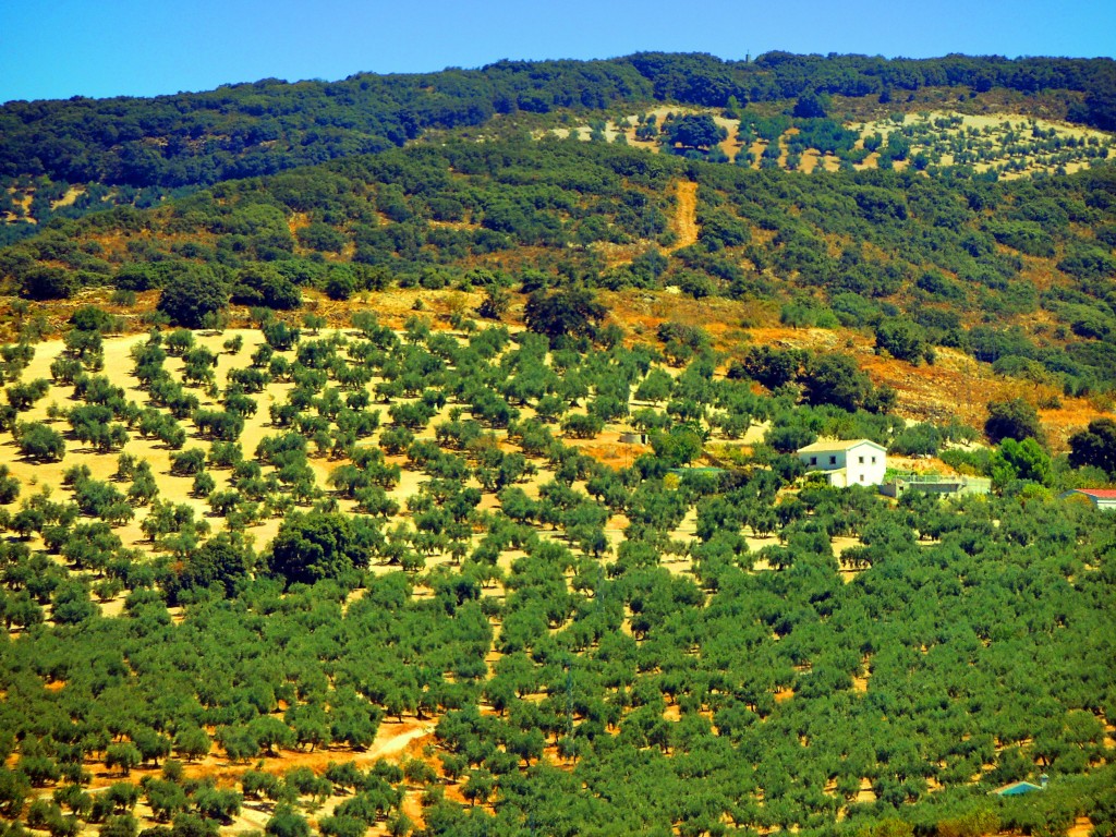 Foto de Montefrío (Granada), España