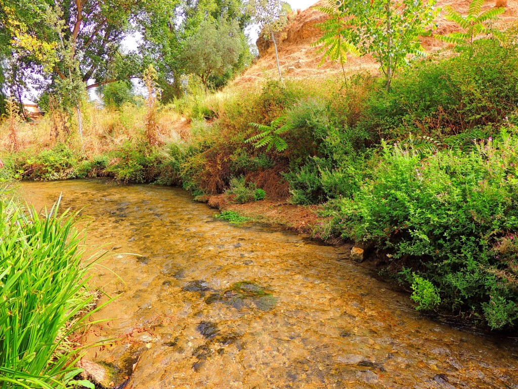 Foto de Riofrio (Granada), España