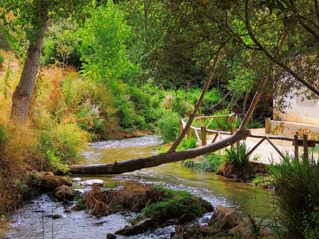 Foto de Riofrio (Granada), España