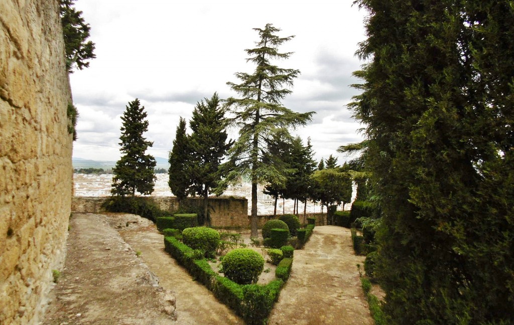 Foto: Alcazaba - Antequera (Málaga), España