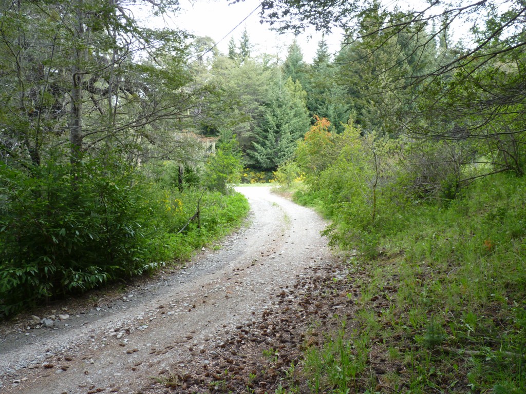 Foto: Parque Nacional Nahuel Huapi - Bariloche (Río Negro), Argentina