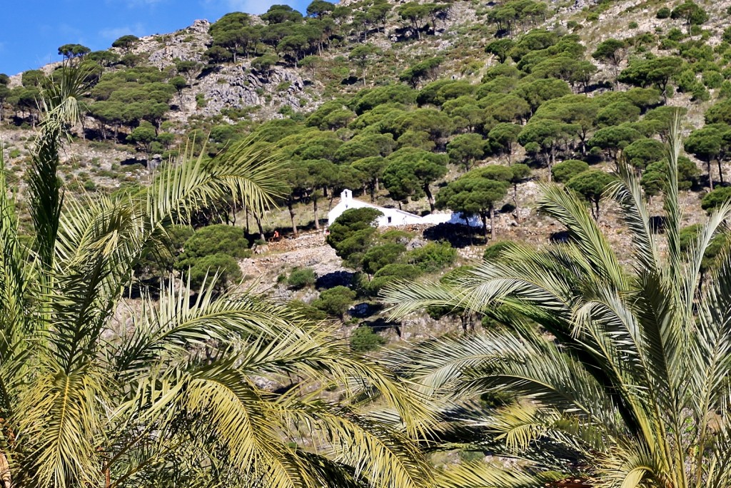 Foto: Paisaje - Mijas (Málaga), España