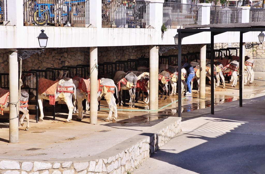 Foto: Parking - Mijas (Málaga), España