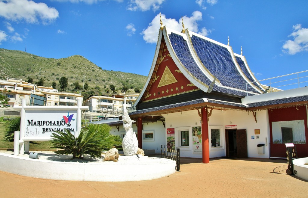 Foto: Mariposario - Benalmádena (Málaga), España