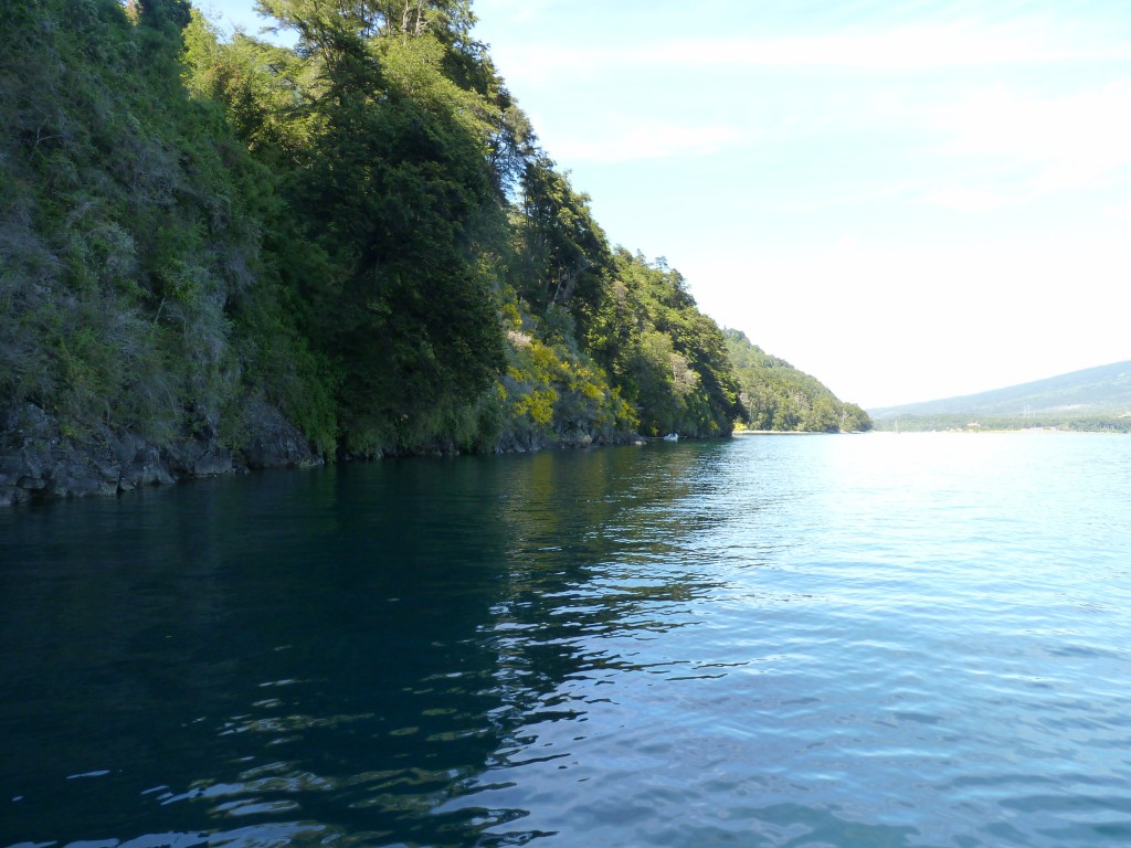 Foto: Parque Nacional Vicente Pérez Rosales. - Osorno (Los Lagos), Chile