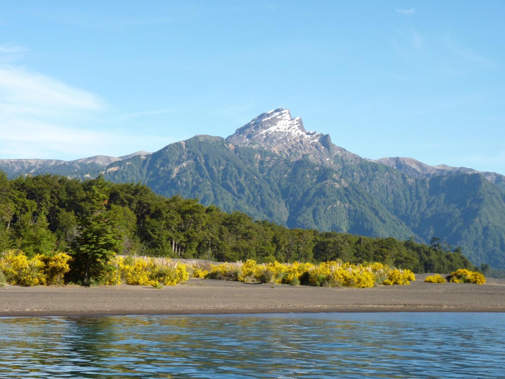 Foto: Parque Nacional Vicente Pérez Rosales. - Osorno (Los Lagos), Chile