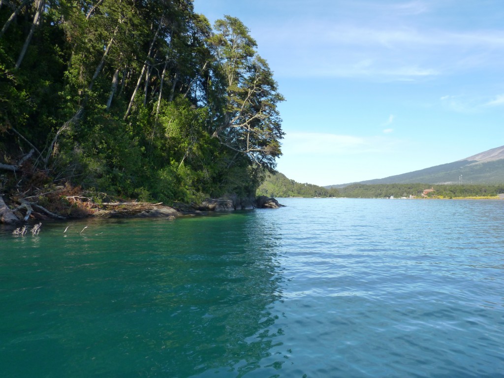 Foto: Parque Nacional Vicente Pérez Rosales. - Osorno (Los Lagos), Chile