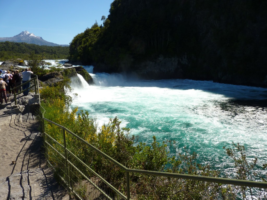 Foto: Parque Nacional Vicente Pérez Rosales. - Osorno (Los Lagos), Chile