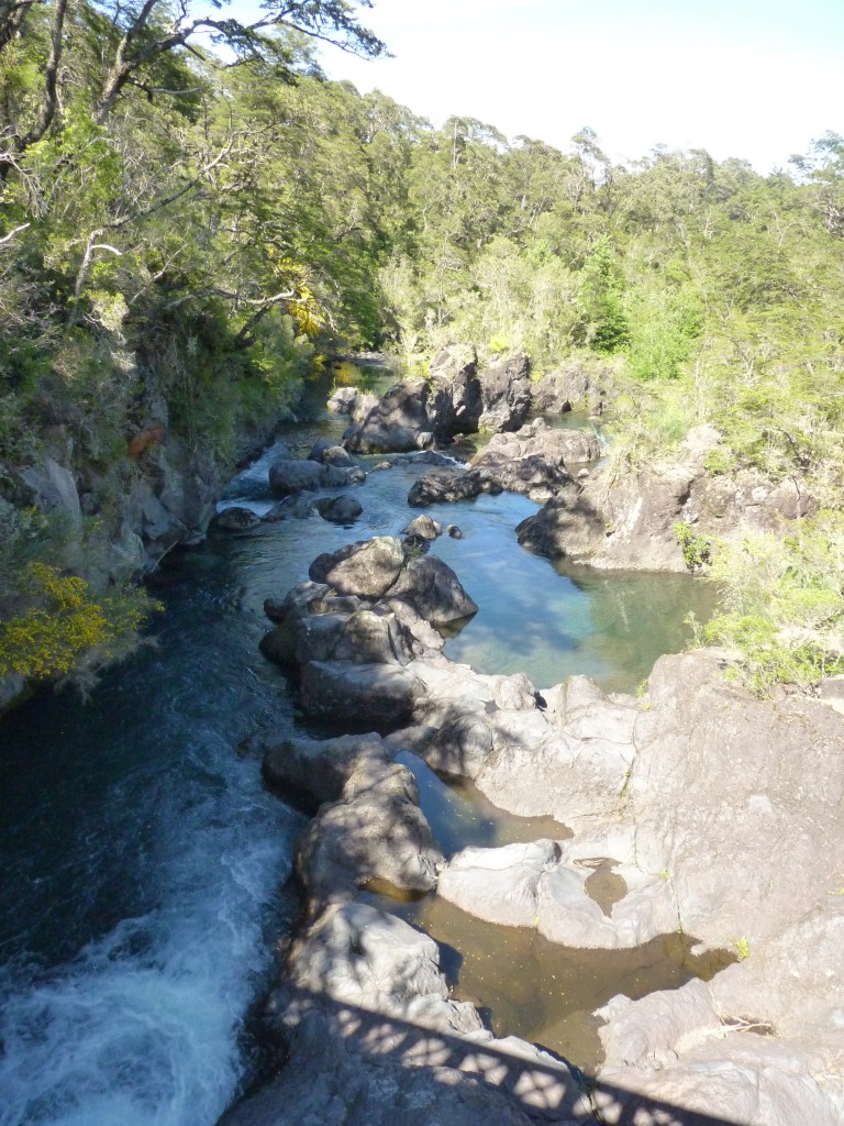 Foto: Parque Nacional Vicente Pérez Rosales. - Osorno (Los Lagos), Chile