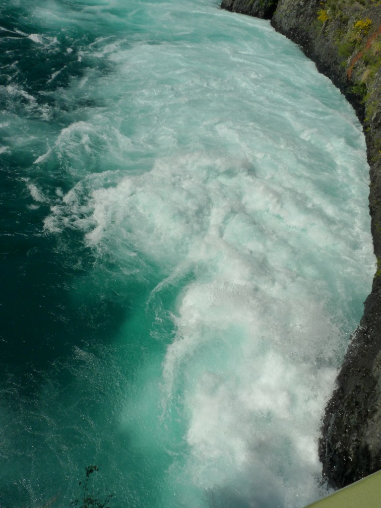 Foto: Parque Nacional Vicente Pérez Rosales. - Osorno (Los Lagos), Chile