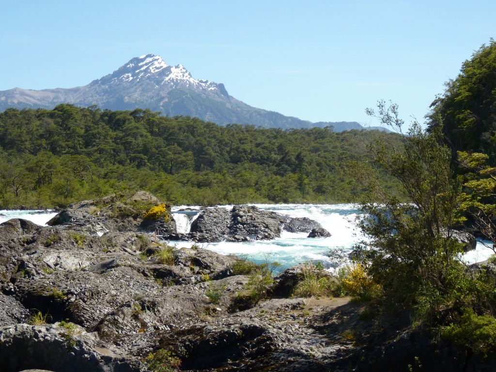 Foto: Parque Nacional Vicente Pérez Rosales. - Osorno (Los Lagos), Chile