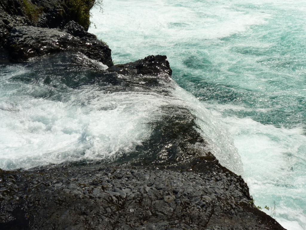 Foto: Parque Nacional Vicente Pérez Rosales. - Osorno (Los Lagos), Chile