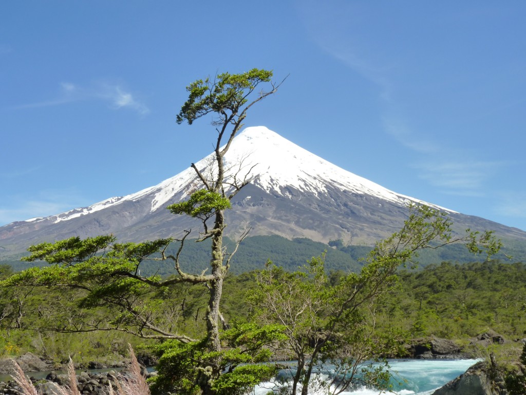 Foto: Parque Nacional Vicente Pérez Rosales. - Osorno (Los Lagos), Chile