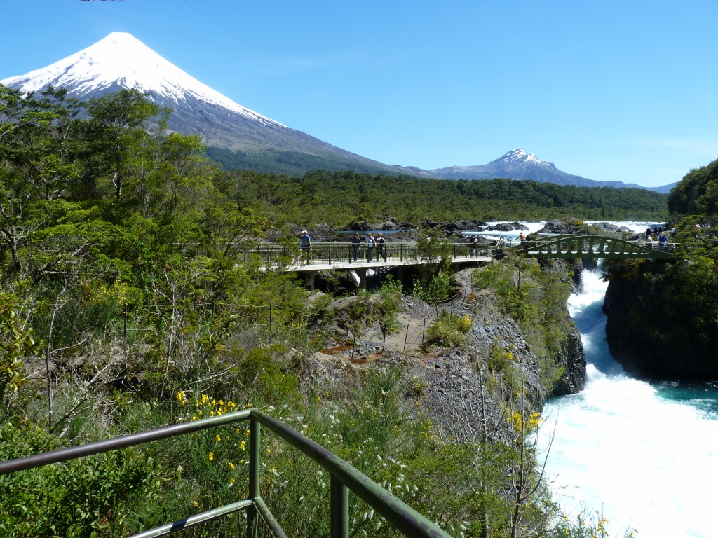 Foto: Parque Nacional Vicente Pérez Rosales. - Osorno (Los Lagos), Chile