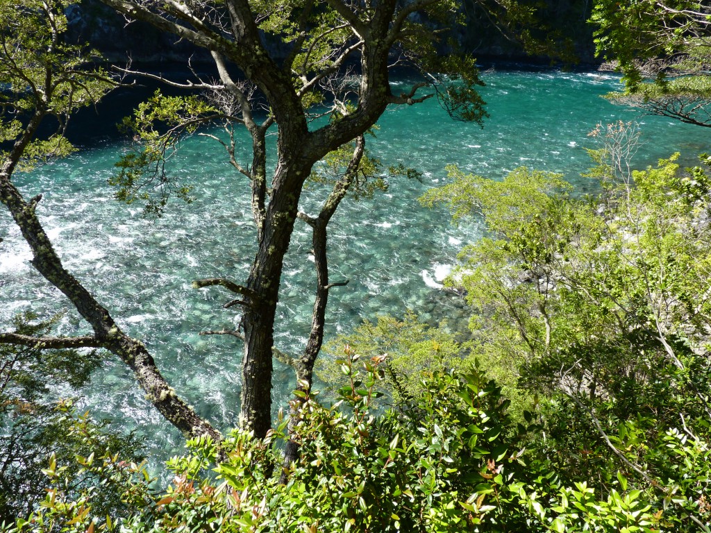 Foto: Parque Nacional Vicente Pérez Rosales. - Osorno (Los Lagos), Chile