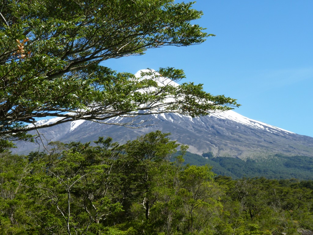 Foto: Parque Nacional Vicente Pérez Rosales. - Osorno (Los Lagos), Chile