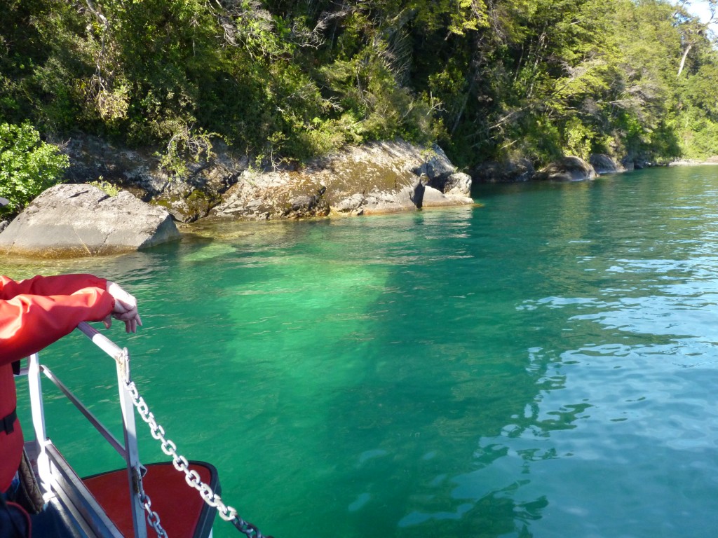 Foto: Parque Nacional Vicente Pérez Rosales. - Osorno (Los Lagos), Chile