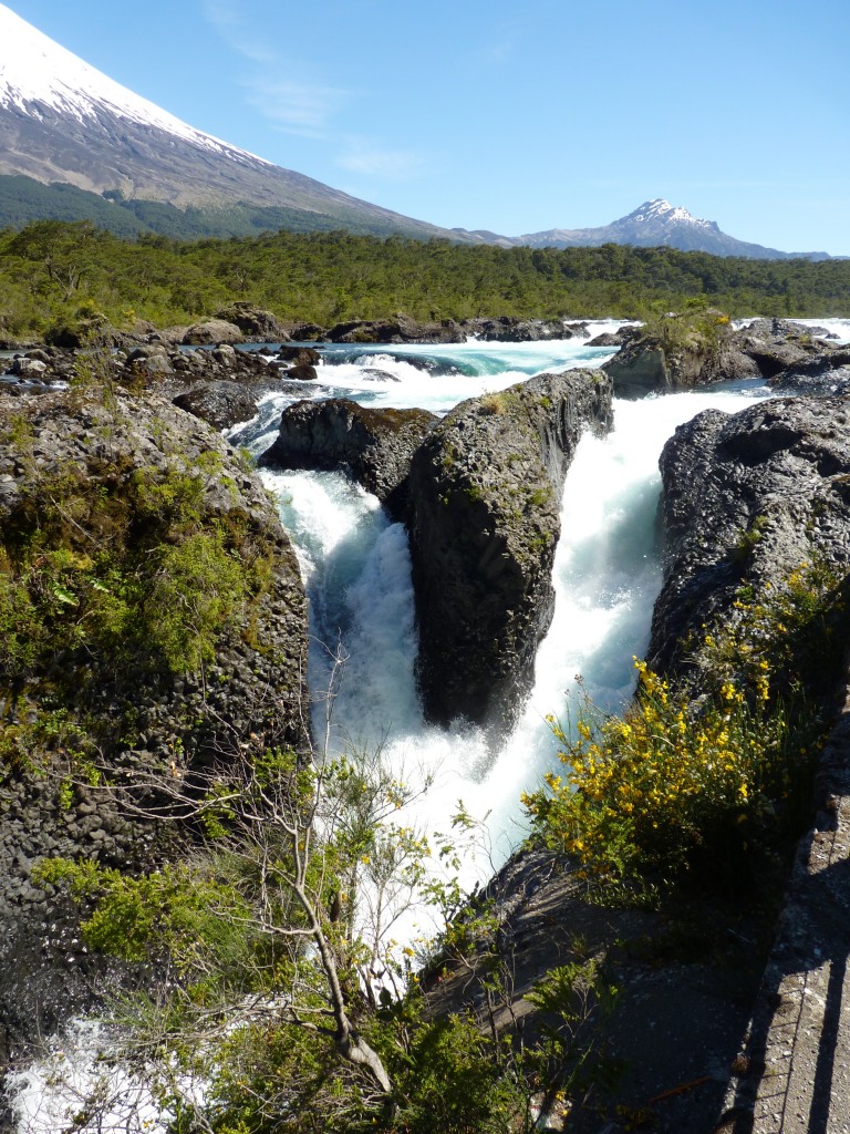 Foto: Parque Nacional Vicente Pérez Rosales. - Osorno (Los Lagos), Chile