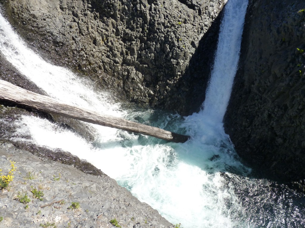 Foto: Parque Nacional Vicente Pérez Rosales. - Osorno (Los Lagos), Chile