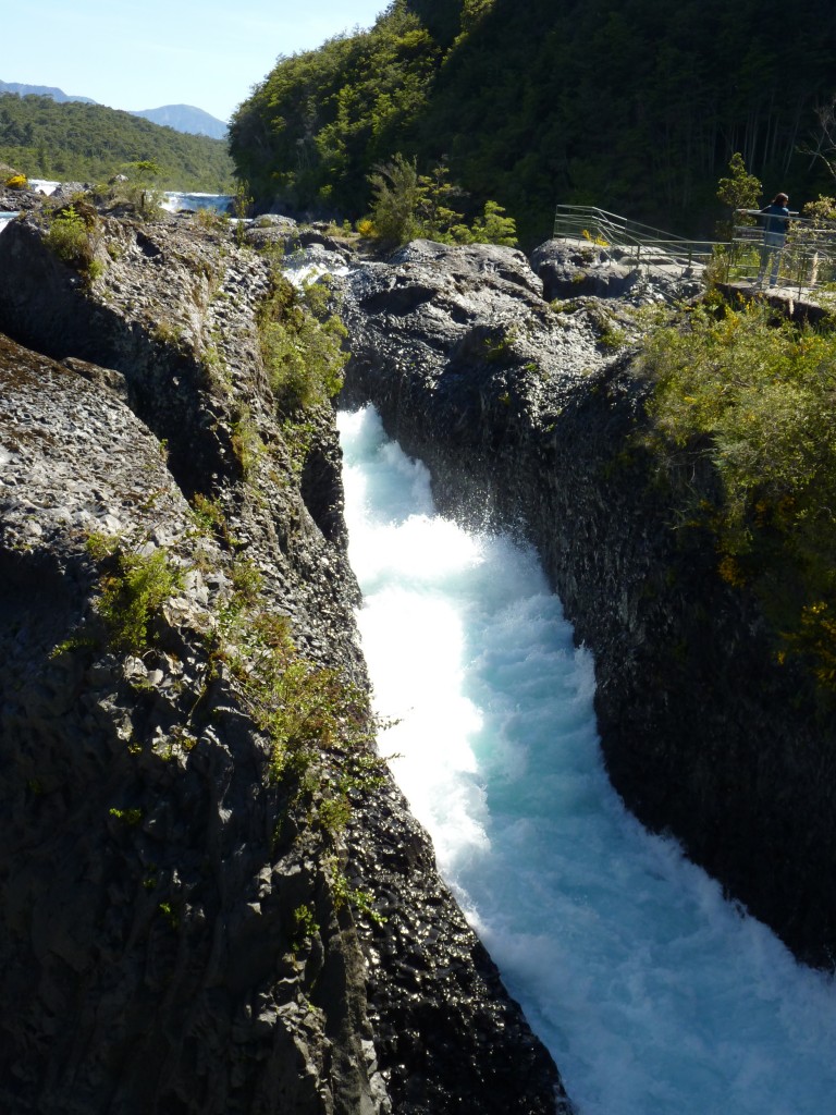 Foto: Parque Nacional Vicente Pérez Rosales. - Osorno (Los Lagos), Chile