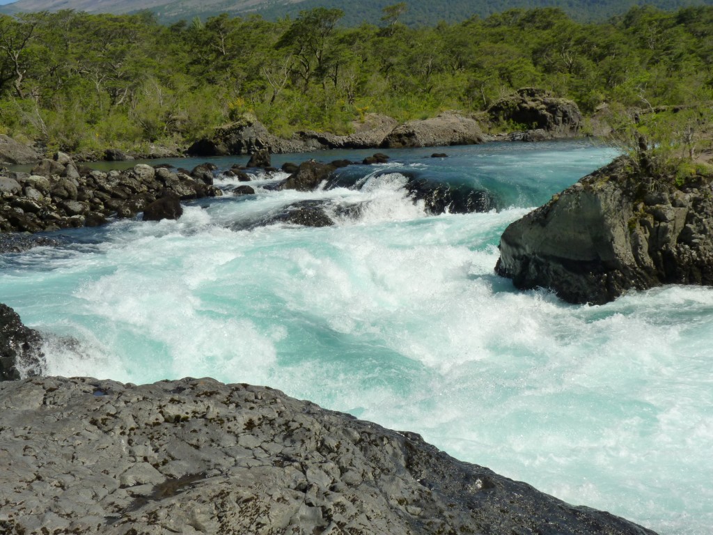 Foto: Parque Nacional Vicente Pérez Rosales. - Osorno (Los Lagos), Chile