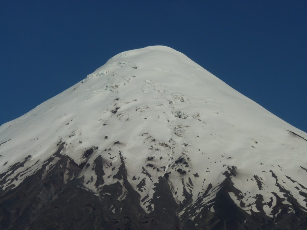 Foto: Parque Nacional Vicente Pérez Rosales. - Osorno (Los Lagos), Chile