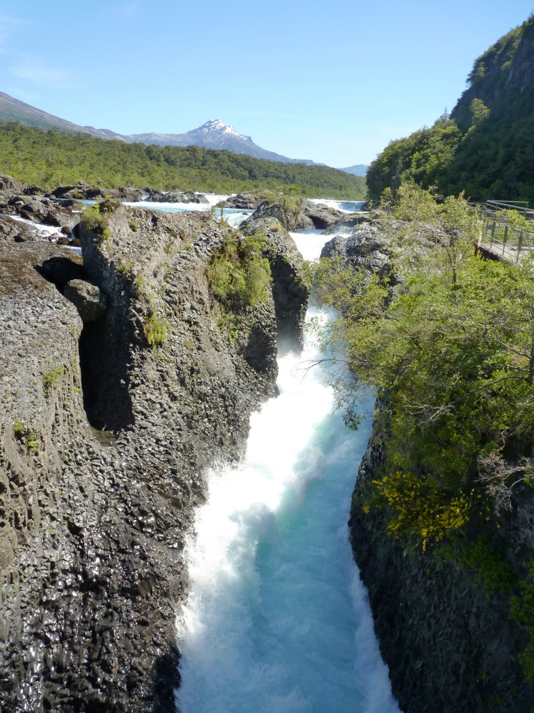 Foto: Parque Nacional Vicente Pérez Rosales. - Osorno (Los Lagos), Chile