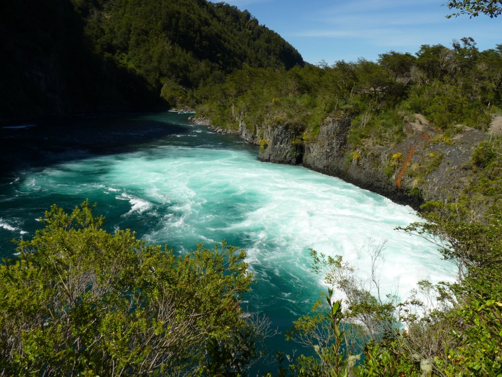 Foto: Parque Nacional Vicente Pérez Rosales. - Osorno (Los Lagos), Chile